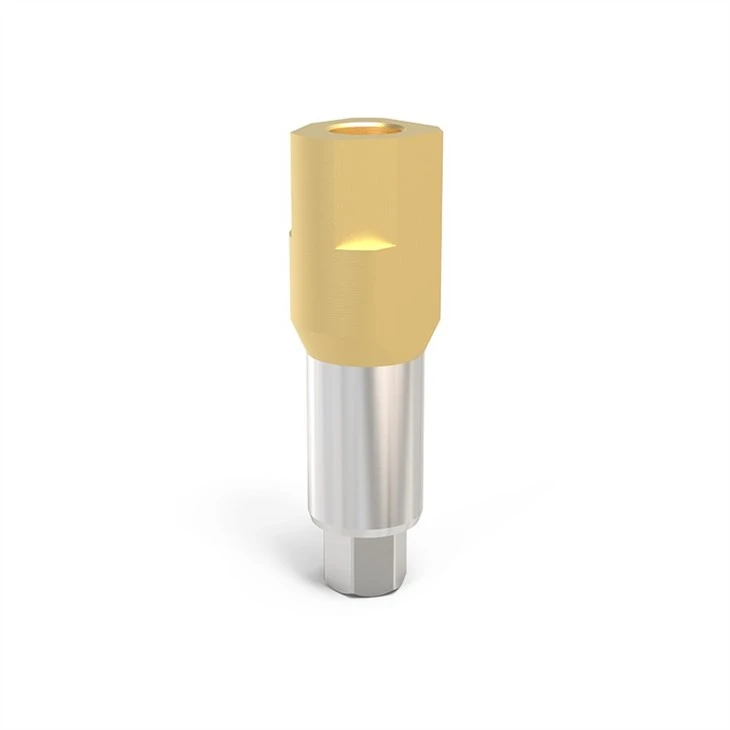 Camlog Scanbodies manufacturer